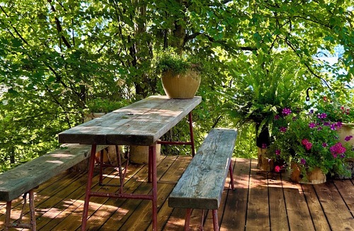 Central Kootenay Apartment | Osprey Lodging Lake Front Retreat