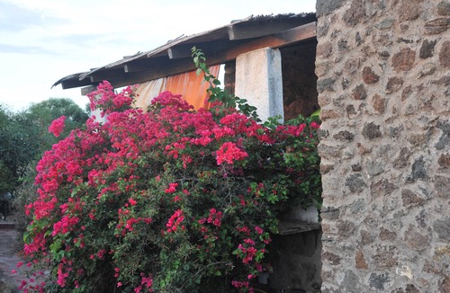 Pantelleria Villa | PANTELLERIA (DAMMUSO) VILLA WITH UNFORGETTABLE SEA VIEW QUIET AND SUNSETS
