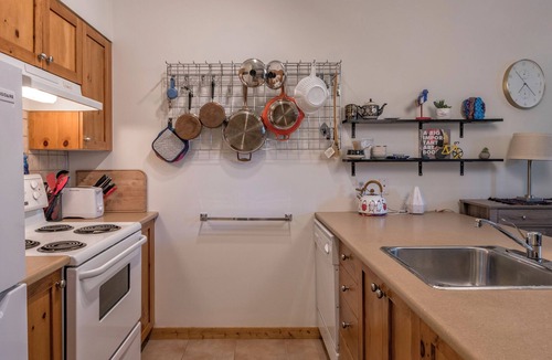 Silver Star Mountain Condo | Perfect Creekside Studio that Opens Right onto the Skiway!