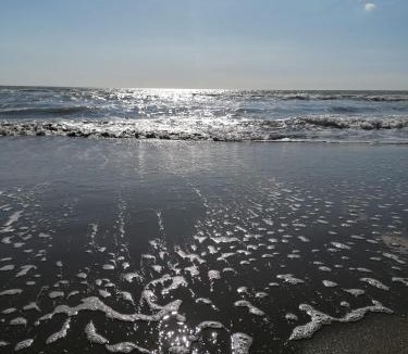 Ardea House | Perla di Mare chiaro