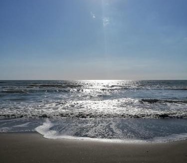 Ardea House | Perla di Mare chiaro