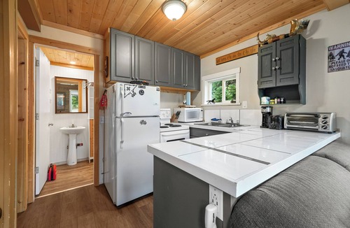 Hemlock Valley Cabin | Pet Friendly | Wood Fire | Wi-fi | Close to Lifts