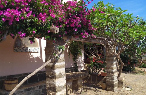 Ustica Apartment | Pomelia Apartment @Hibiscus Farmhouse