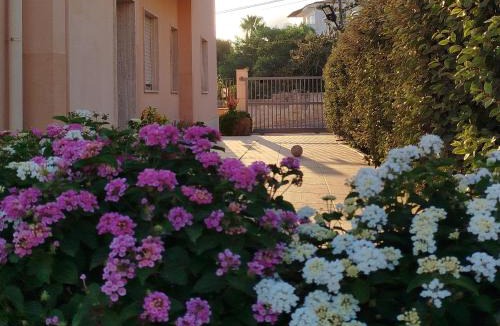 Alcamo Marina House | Profumo di Mare 1