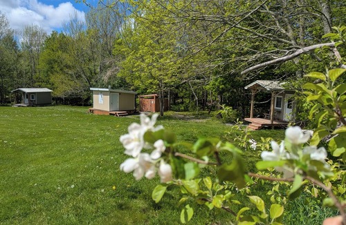 Onslow Cabin | Romantic Tiny Cottage w/Hot Tub & Fire Pit – Sunrise Cottage #1
