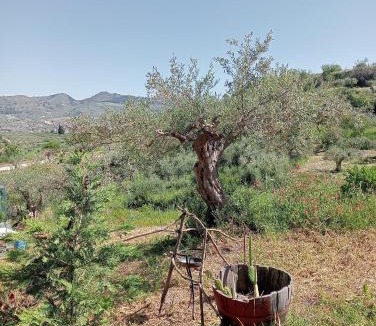 Villafranca Sicula Other | Romeo Stay eco cabins and camping