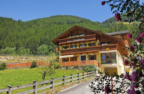Valle Aurina Apartment | Room 'Pension Waldheim 1' with Mountain View, Shared Garden and Wi-Fi