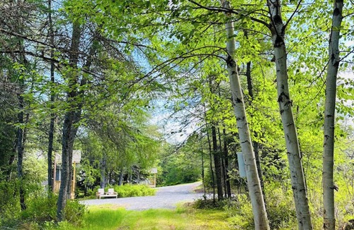 Port Blandford Cabin | Rustic Wave Cottages-Glamping Pod #5