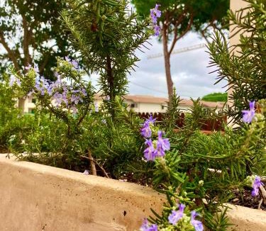 Bella Farnia House | Sabaudia villetta a pochi minuti dal mare
