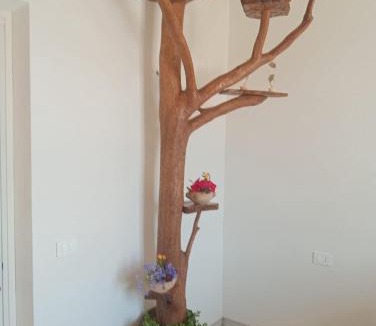 Marsala House | Sharon House 67