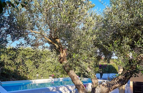 Marsala Villa | Sicily villa with pool only 300mt from the sea/ Perfect for enjoy of a sunny day in the swimming poo