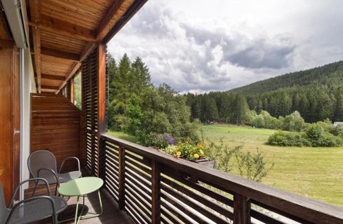 Pfalzen Apartment | Silbernagl - Monolokal mit Ausblick