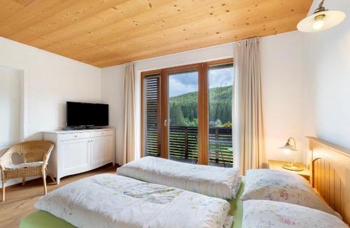 Pfalzen Apartment | Silbernagl - Monolokal mit Ausblick