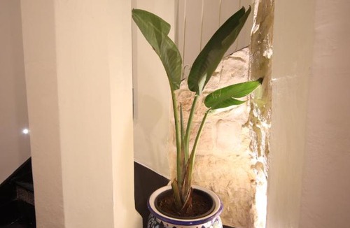 Modica House | Sinfonia Barocca