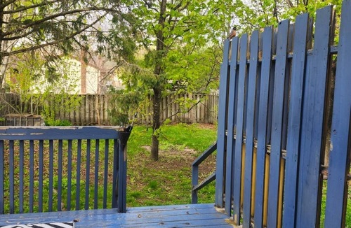 Belleville House | Spacious 4-bedroom Family Friendly house in charming Belleville