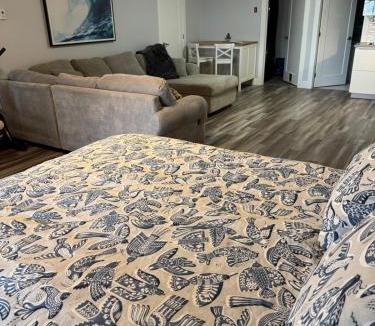 Dartmouth Apartment | Studio Guest Apartment in Dartmouth