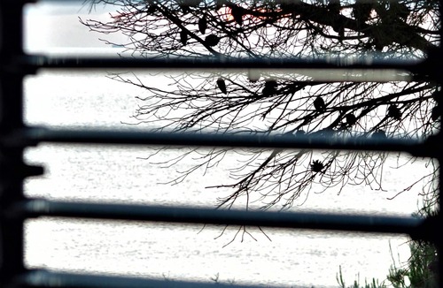 Macari Villa | TerrazzAmare (house "di su") by the sea