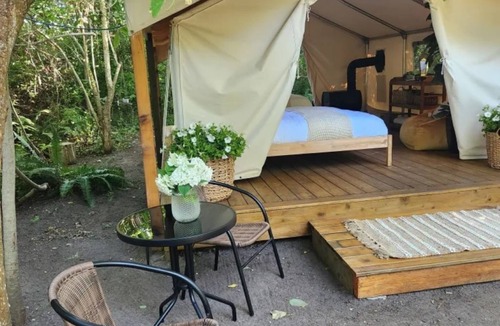 Tsawwassen Cabin | The Fox Den