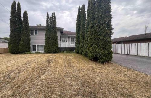 Terrace Bed & Breakfast | The Peaceful Pines