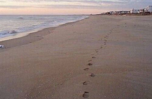 Croatan Beach House | This is the ONE! Book NOW for a perfect family vacation!
