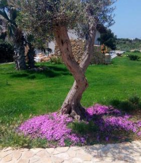 Favignana House | Tramonto A Nordovest