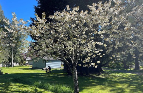 Sooke Cottage | Two Cottage units (duplex) on Waterfront Property with Beach Access - Sleeps 4