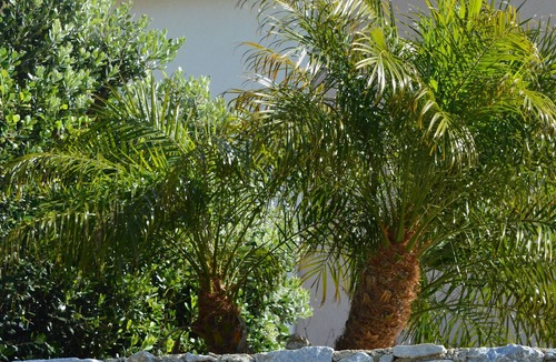 Province of Messina Apartment | Two-room apartment with panoramic terrace