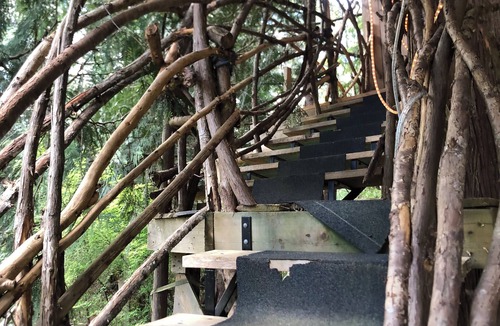 Whaletown Apartment | Unique Cortes Treehouse! - Peaceful haven in the trees