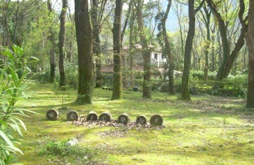 Sabaudia Bed & Breakfast | Villa alla Baia d'argento
