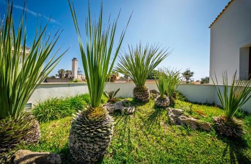 Marsala Apartment | Villa Elen