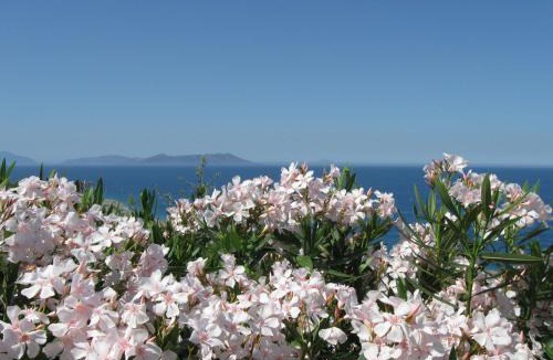 Gioiosa Marea Villa | Villa Eoliana