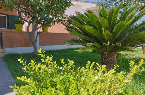 Ardea Apartment | Villa Lella - Pantheon basement apartment, shared swimming pool 5 minutes from the sea, suitable for families or groups for complete relaxation