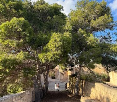 Favignana Villa | Villa MAE Favignana