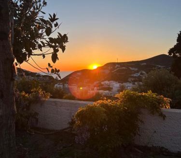 Ponza Bed & Breakfast | Villa Pina