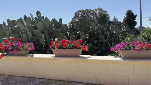 Mazzarino Villa | Villa Relais Palmento 1866 Torre Favara