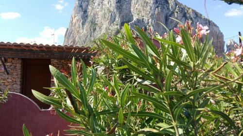 San Vito Lo Capo House | Villetta Edera all'Usciere