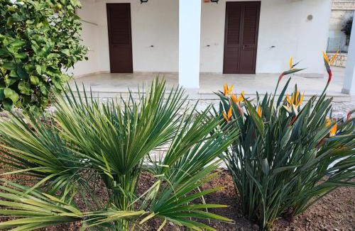 Alcamo Marina House | Villetta relax e mare