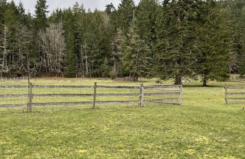 Duncan House | Warm, inviting updated 2 bdrm house in the forest-only minutes to town centre.