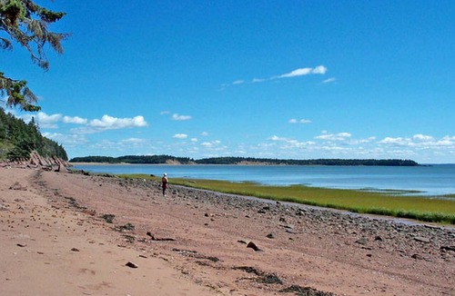 Harvey Cabin | Welcoming Bed and Breakfast Accommodation with Antique Furniture in Harvey, New Brunswick