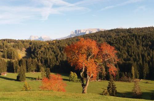 Renon Apartment | Wolfhof_Ritten