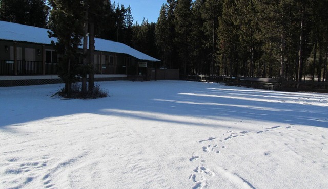 1-4 suites avail. $189- 219 per suite. inquire for pricing/availability.