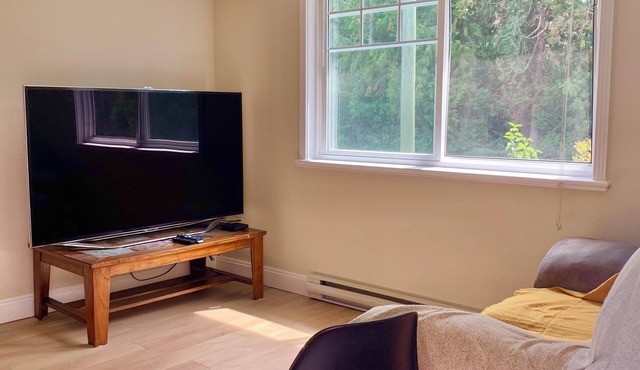 1 Bed 1 Bath Suite Coquitlam Centre