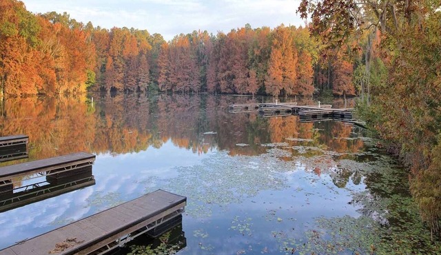 2br Deluxe Unit Tranquil Shores of Lake Marion
