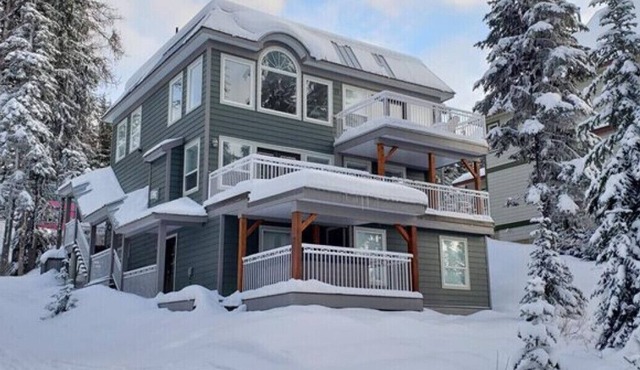 3 Storey, 6 Bedroom, 5 Bthrm, 2 Kitchens, Ski in/Ski out Multi-Family Mountain H