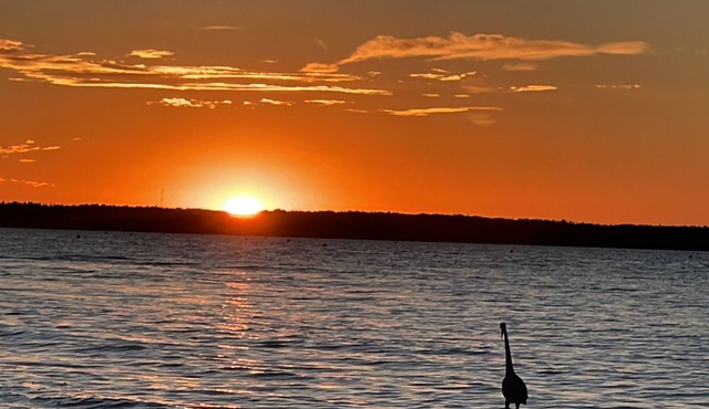 6 Minutes from Beach