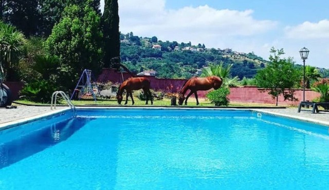 A Sicilian guesthouse with Pool on Mt. Etna, perfect for Families & Groups/x16p.