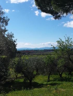 Agriturismo Tenuta di Vignale