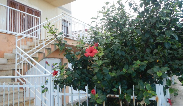 Alcamo marina, resort on the Gulf of Castellammare, 6 km from Alcamo, city