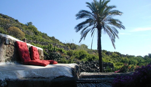 Ancient Dammuso with beautiful garden CIN: IT081014C2QNZ3XVTN