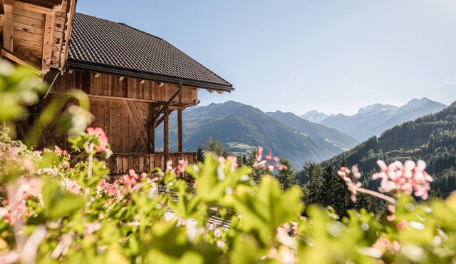 Apartment 'Bruneggerhof 2' with Mountain View, Private Garden and Wi-Fi